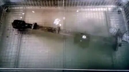 เครื่องทําความร้อนดิจิตอล ไทมอร์ สแตนเลส อุตสาหกรรม อุตสาหกรรมอะไหล่รถยนต์ ยูทราซอน ล้าง Jp-480st